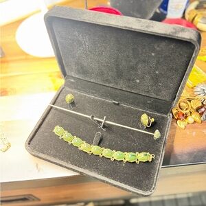 Vintage Rare Scarab Beetle Set